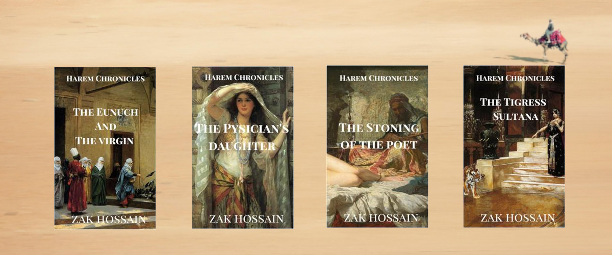 Harem Chronicles Stories